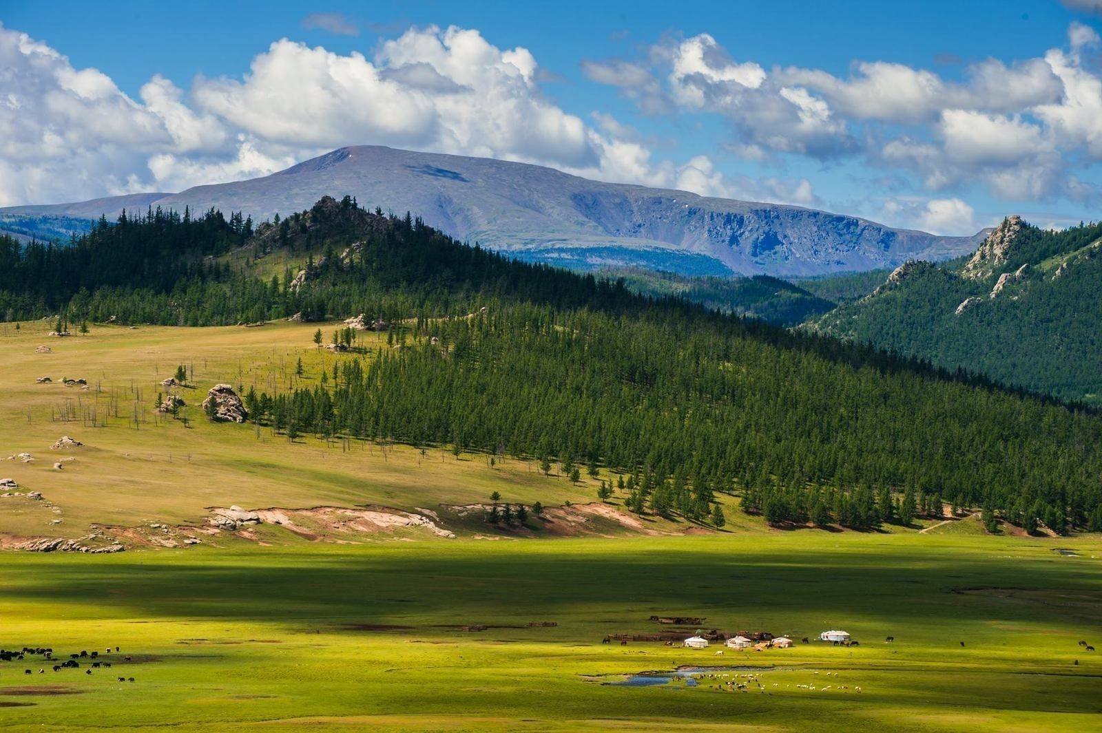 Unveiling Mongolia: A Hidden Travel Gem with Essential Tips for Adventure Seekers